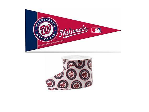 2.5" + Mini Pennant - Washington Nationals