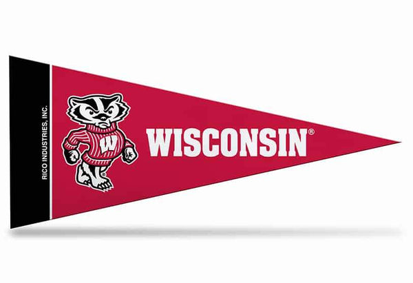Wisconsion Mini Pennant