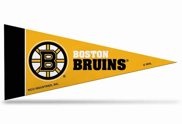 Boston Bruins Mini Pennants