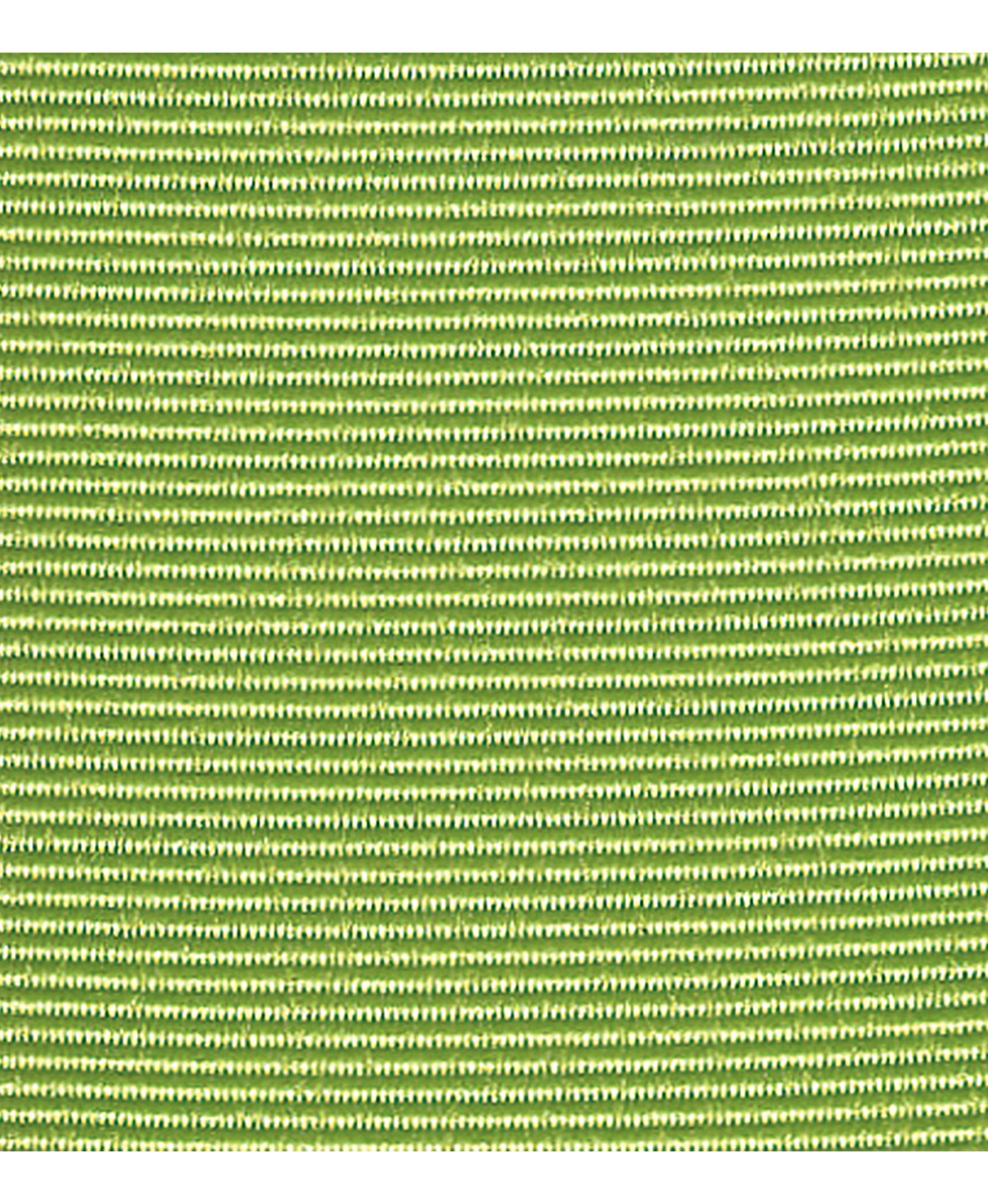 Apple Green Texture 3/8 Inch x 100 Yards Grosgrain Ribbon - Order Now!